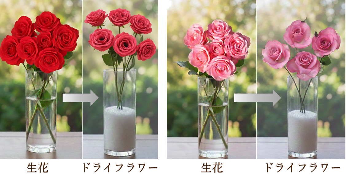 生花とドライフラワーの比較